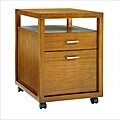Archer Rolling File Cabinet