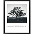 Ansel Adams 'Oaktree, Sunrise, Northern California' Framed Art