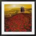 Steve Thoms 'Poppy Field' Framed Art