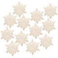 Frosted Snowflake Ornaments (Set of 12)