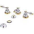 Danze D326455CPBV Chrome/ Polished Brass Sheridan Bidet Faucet