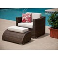Cosabella Collection All-weather Wicker 2-piece Club Chair Set