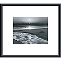 Ansel Adams 'Birds on a Beach' Metal Framed Art Print