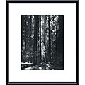 Ansel Adams 'Redwoods, Founders Grove' Metal Framed Art Print