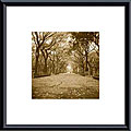 Wampler 'Central Park' Metal Framed Art Print