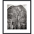 Ansel Adams 'Autumn Tree Against Cathedral Rocks, Yosemite' Print