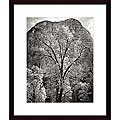 Ansel Adams 'Autumn Tree Against Cathedral Rocks, Yosemite' Print
