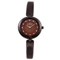 Skagen Women's Brown Steel Crystal Watch