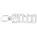 Sterling Silver 2010 Charm