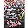 Dale Earnhardt Sr. Plush Throw Blanket