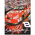 Dale Earnhardt Jr. Plush Throw Blanket