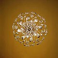Austrian Crystal 6-light Gold Leaf Ceiling Lamp