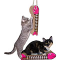Fishbone and Fish on a Line Combo Scratching Pad