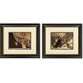 Western 'Sepia Spurs' Framed Wall Art (Set of 2)