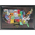 Foster 'USA Map' Framed Wall Art