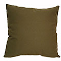 Airbrush 16-inch Avocado Throw Pillows (Set of 2)