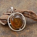 Sterling Silver Honey Baltic Amber Pendant (Poland)