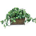 Faux Marbled Pothos Plant