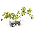 Faux Vanda Orchid Plant