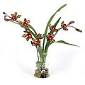 Faux Spider Orchid Plant