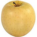 Golden Delicious 3-inch Faux Apples (Set of 12)