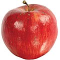 Red Gravenstein Apple Accent Pieces (Set of 12)