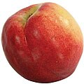 Georgia Peach Accent Pieces (Set of 12)