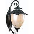 Cameilia Small Dark Bronze Wall Lantern