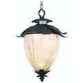 Cameilia Oxidized Bronze Hanging Lantern