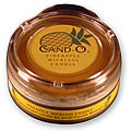 Cand-O Pineapple Small Wickless Candle