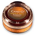 Cand-O Pumpkin Spice Small Wickless Candle