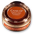 Cand-O Harvest Spice Large Wickless Candle