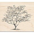 Inkadinkado Wood-mounted 'Dogwood' Rubber Stamp