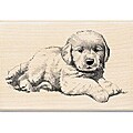 Inkadinkado Wood-mounted 'Puppy Dog' Rubber Stamp