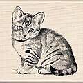 Inkadinkado Wood Mounted Kitten Rubber Stamp