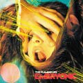 The Flaming Lips - Embryonic [10/13]