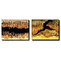 Caroline Ashton 'Escapism' Oversize Canvas 2-piece Art Set