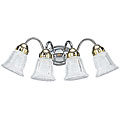 Brookchester 4-light Wall/ Bath Fixture