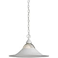Downlight White Finish Pendant