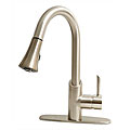 Pro Series Kitchen Faucet