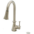 DeNovo Newport Brushed Nickel Kitchen Faucet with Disposal Air Switch