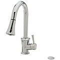 DeNovo Laguna Chrome Pull-down Kitchen Faucet with Disposal Air Switch