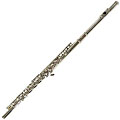 Cecilio Nickel-plated Flute with Accessories