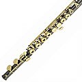 Cecilio Black Nickel-plated Flute with Accessories