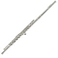 Cecilio Silverplated Flute with Accessories