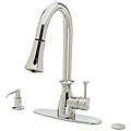 DeNovo Newport Chrome Pull-down Kitchen Faucet
