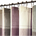 Montgomery Wisteria Cotton Shower Curtain