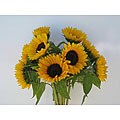 Simply Sunflower (10 Stems)