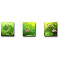 'Lotus Flower' Three-panel Giclee Canvas Art