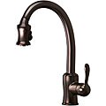 Brienza Oil-rubbed Bronze Pull-out Kitchen Faucet
